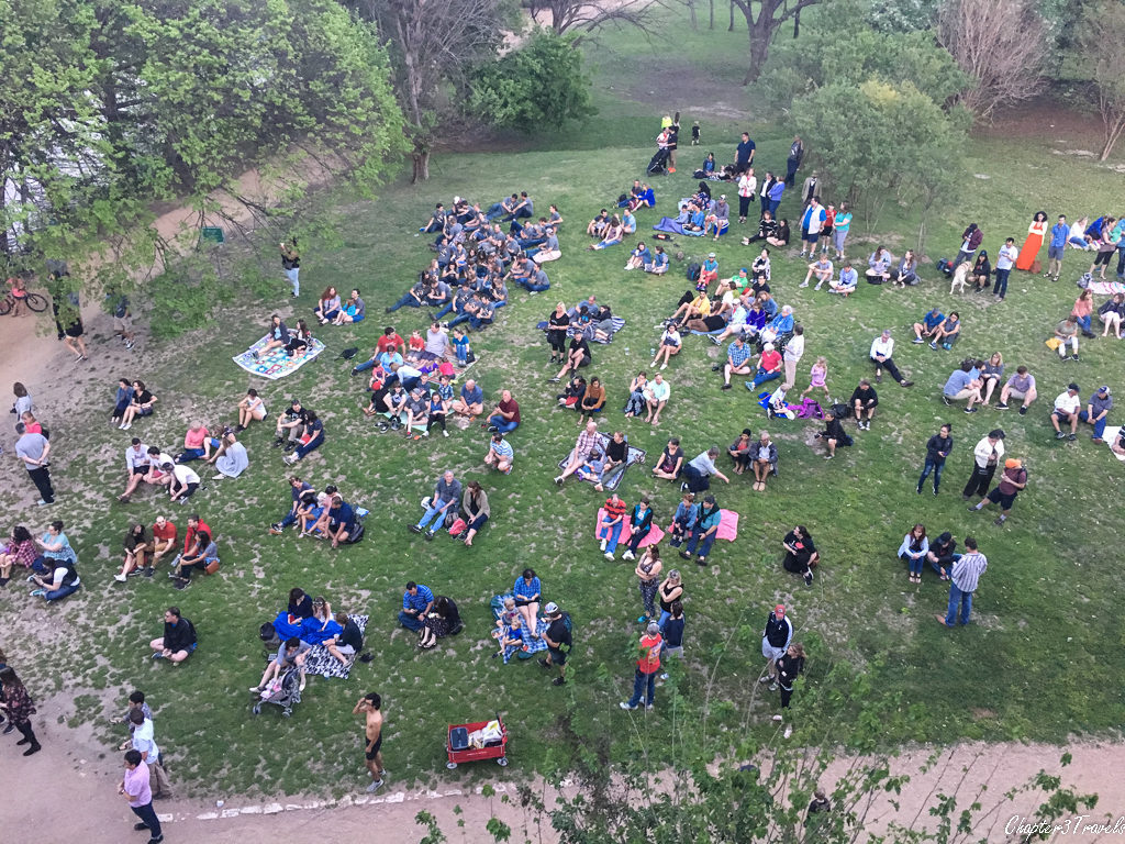 People sitting on lawn near the Congress Avenue Bridge.