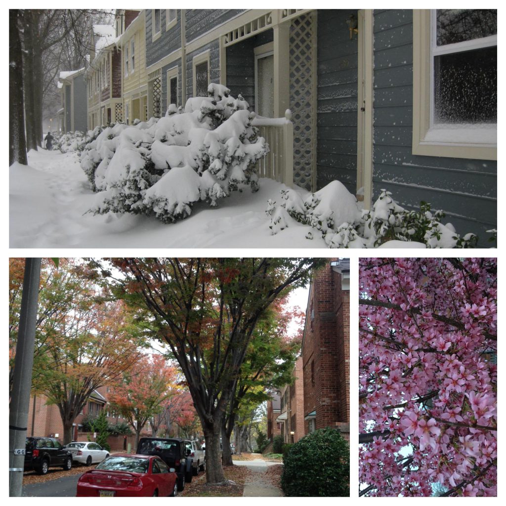 Neighborhood seasons