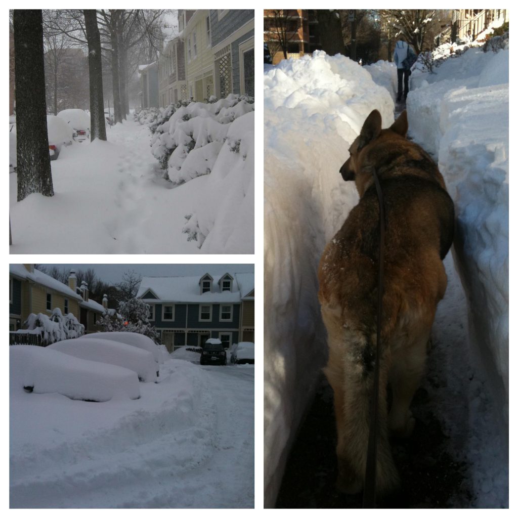 Snow collage