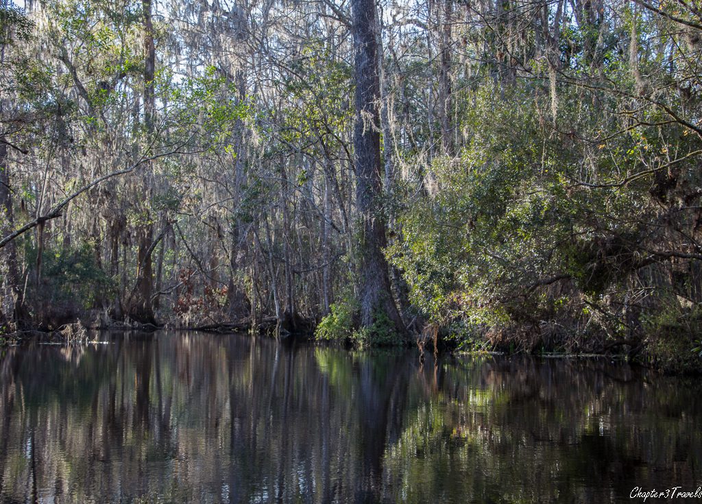 wakulla-springs-state-park-79-of-130