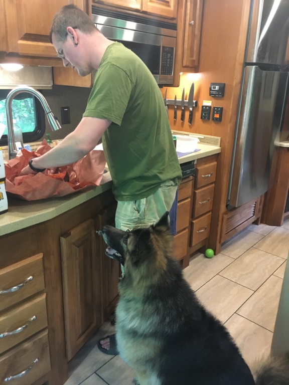 Kevin giving Dixie some leftover meat from Franklin Barbecue.
