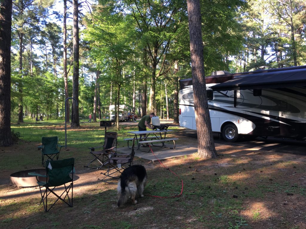 Campsite at Atlanta State Park