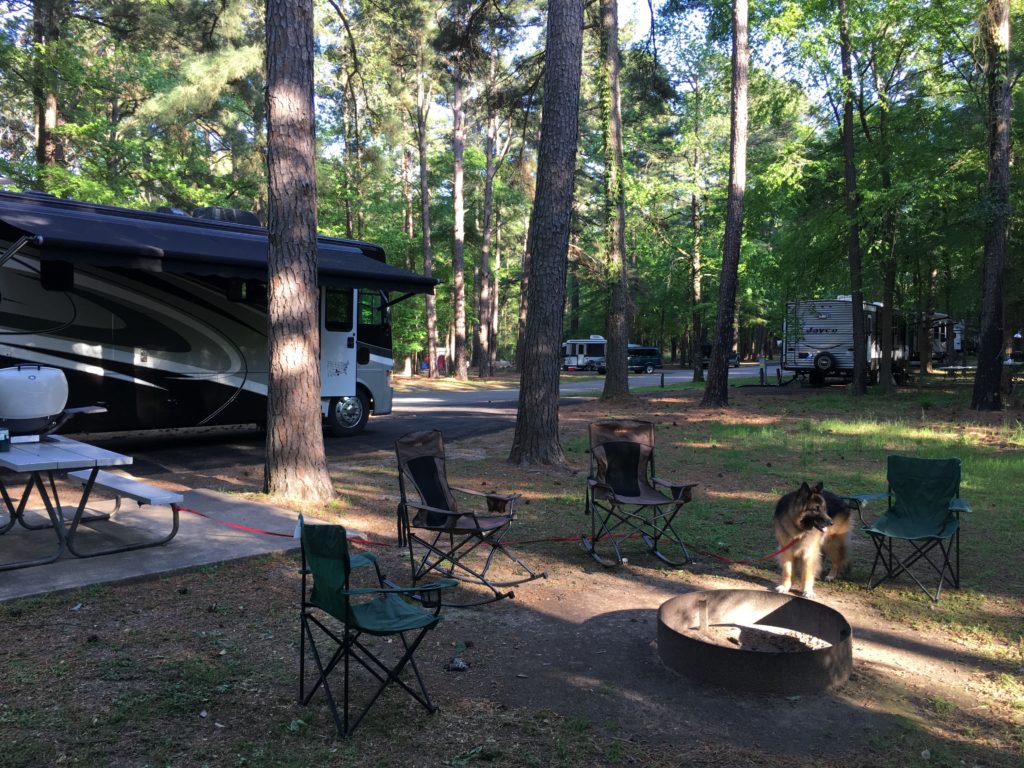 Campsite at Atlanta State Park
