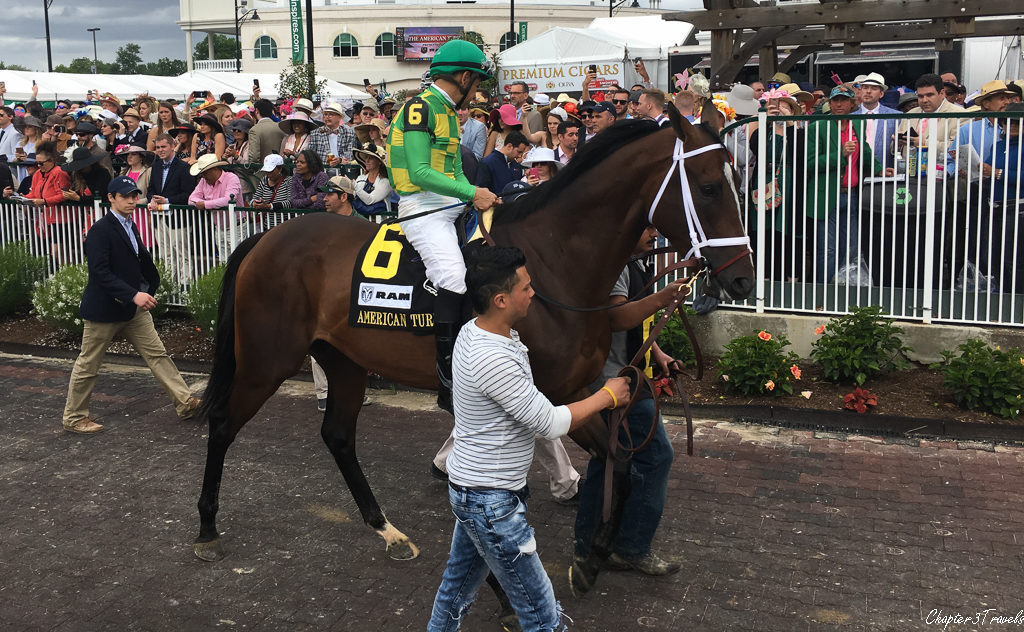 A horse with his jockey being led to the track