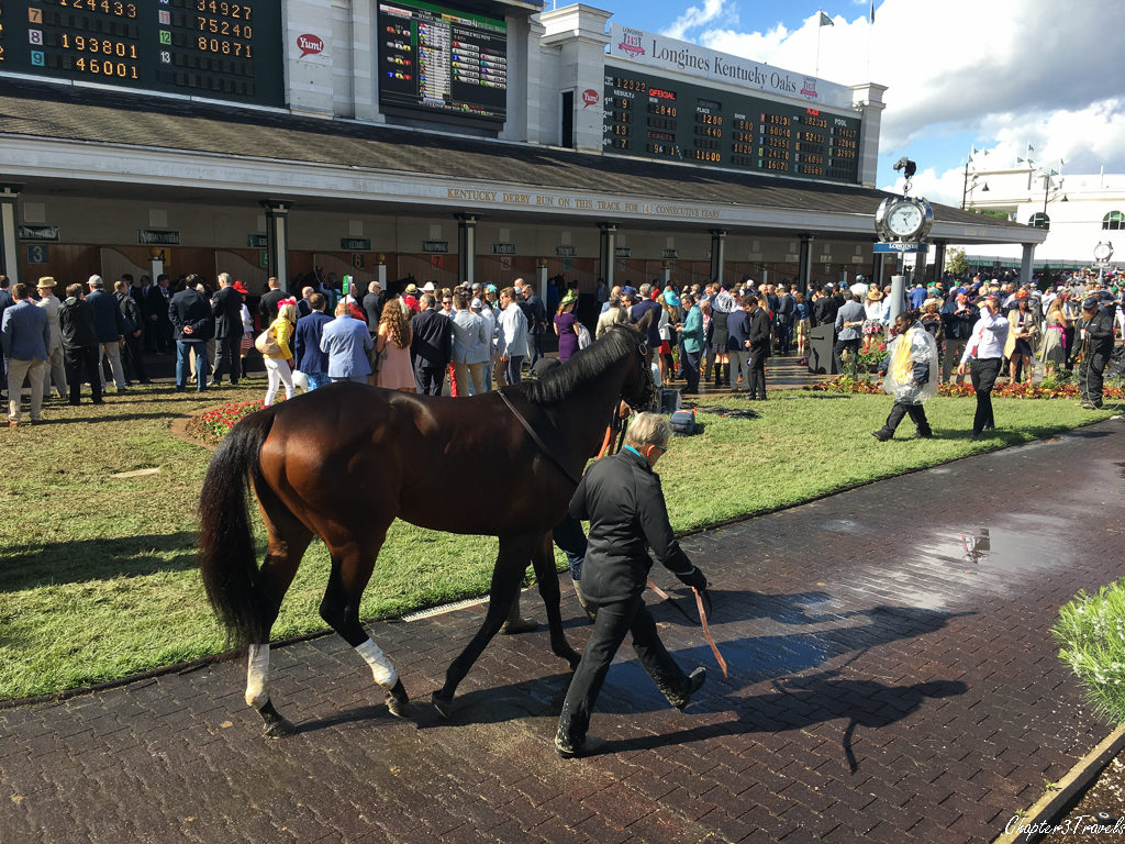 A horse walking with a trainer at Churchill Downs