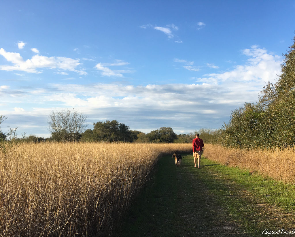 Kevin and Dixie walking through a field