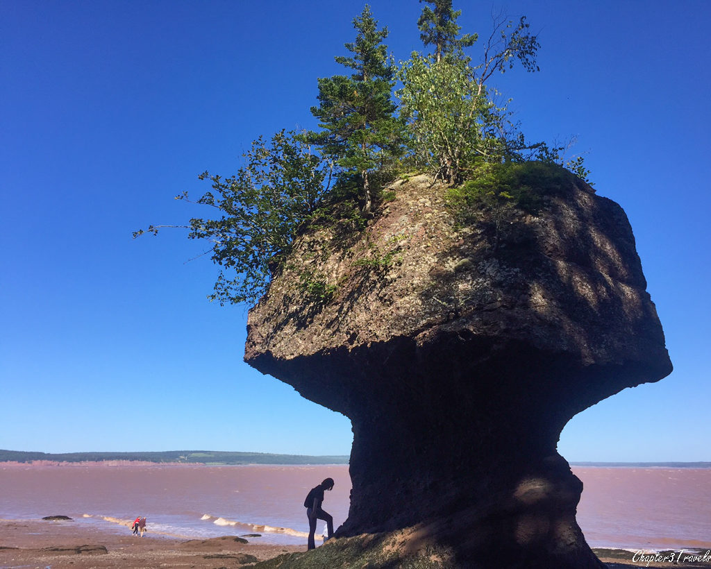 A person looking at one of the rock formations at Hopewell Rocks at low tide.