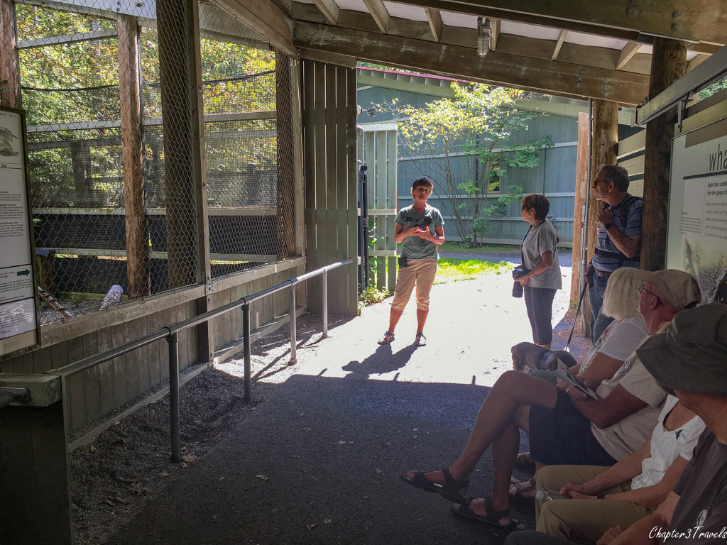A tour at Vermont Institute of Natural Science