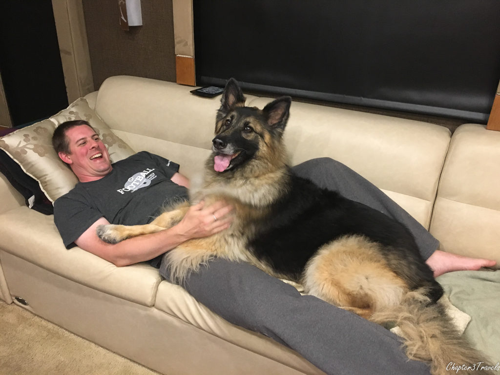 Dixie and Kevin on the sofa