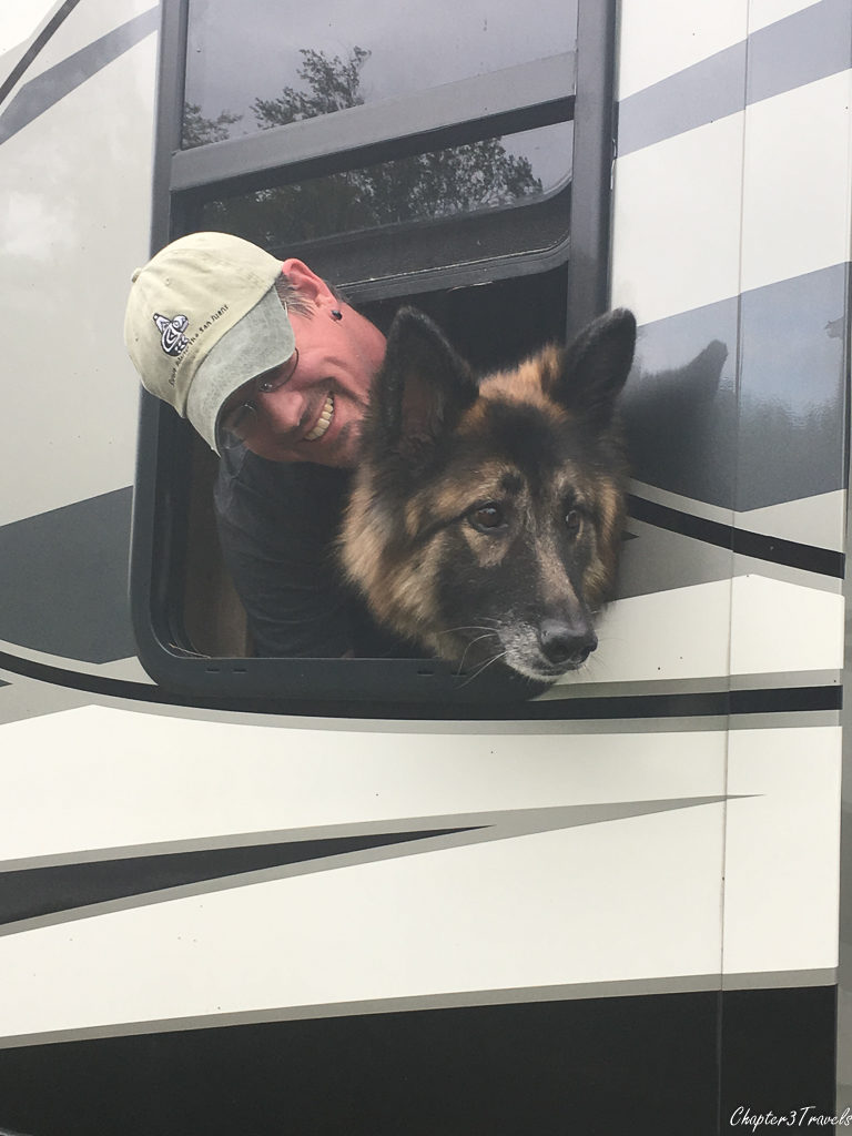 Dixie sticking her head out the side window of the RV