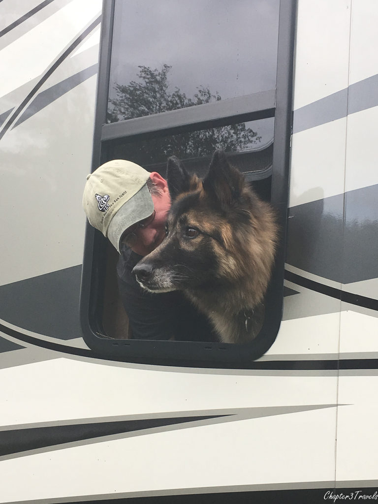 Dixie sticking her head out the side window of the RV