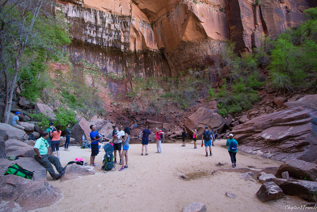 The Upper Pools at Zion National Park