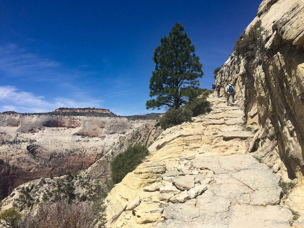 The trail to Observation Point at Zion National Park