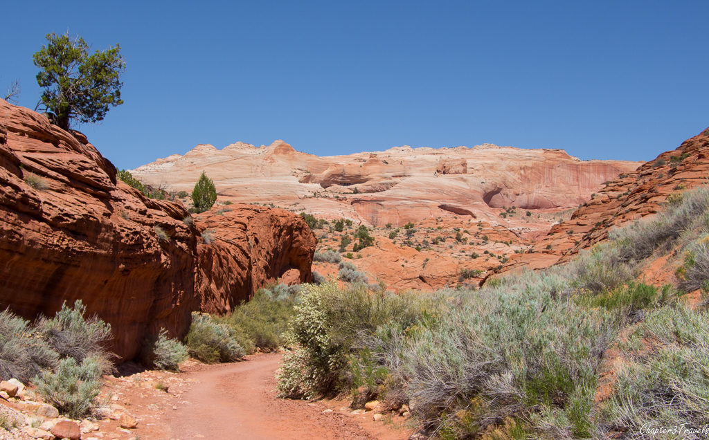 Wire Pass Canyon, Utah