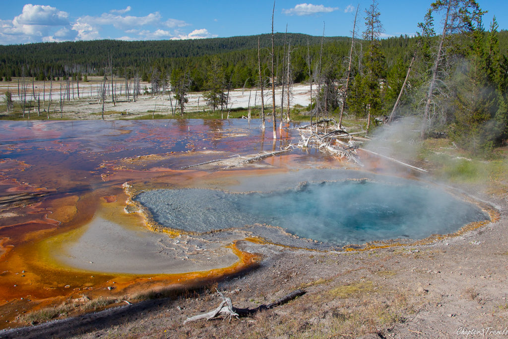 Hot springs and bacterial mats along Firehole Lake Drive