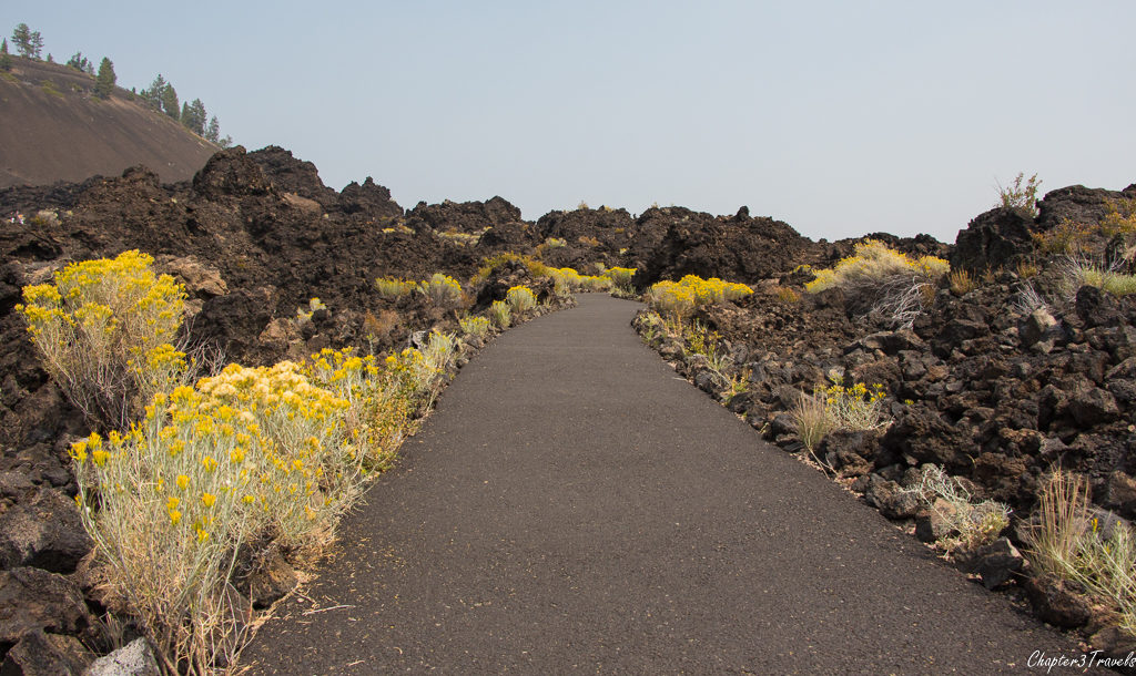 A path leading into the lava fields at Newberry Volcanic National Monument