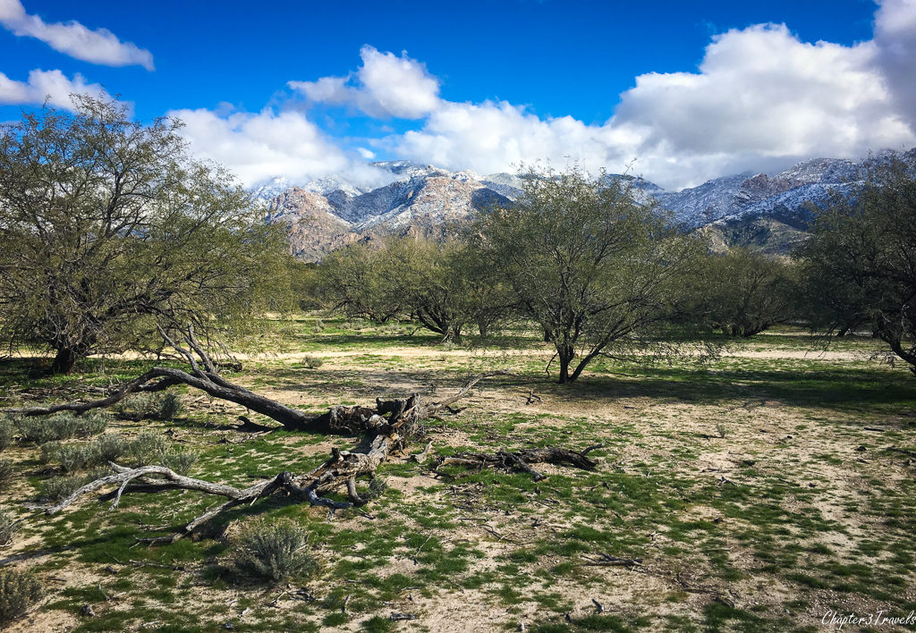 Catalina State Park