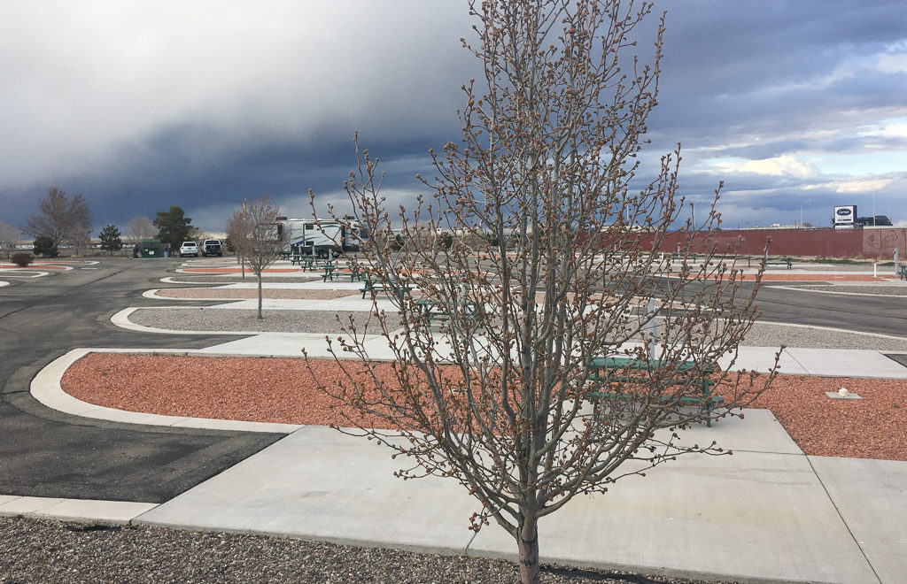 Empty campsites at American RV Resort in Albuquerque