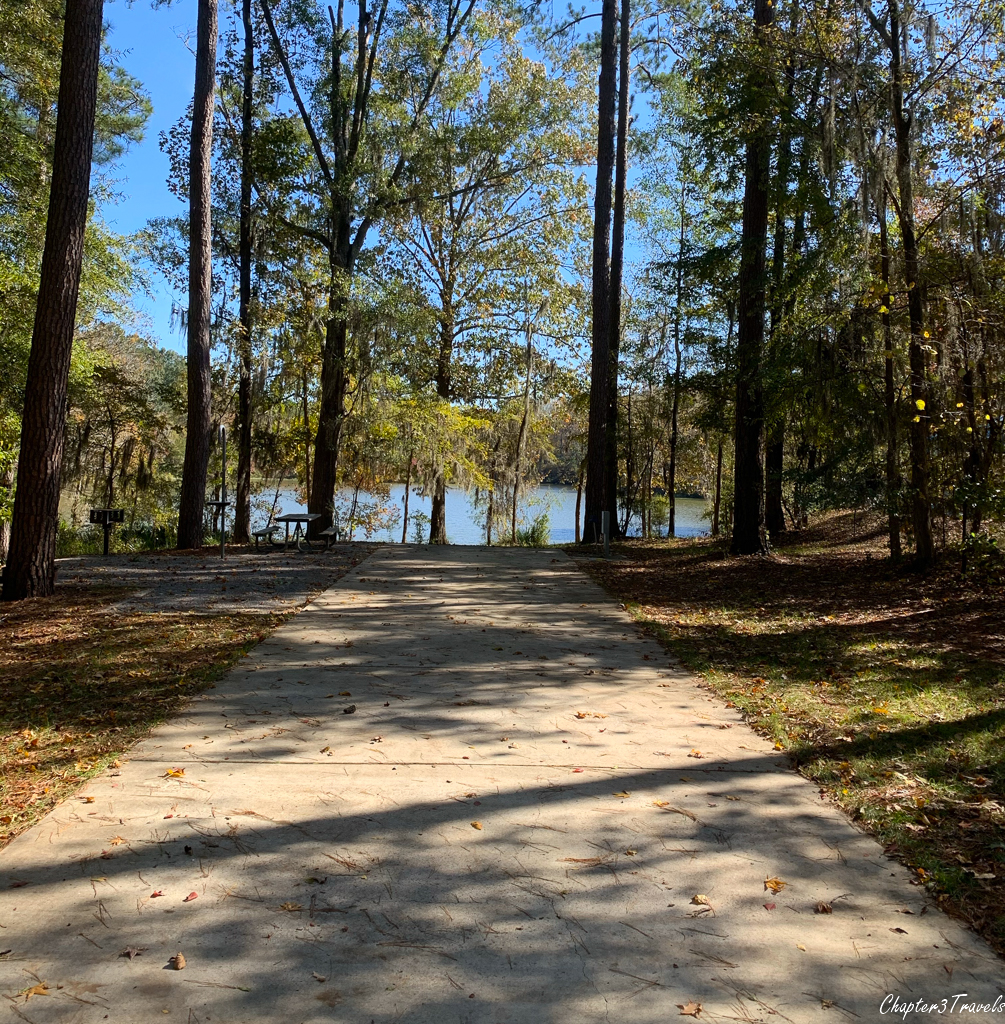 Campsite at Gunter Hill Campground