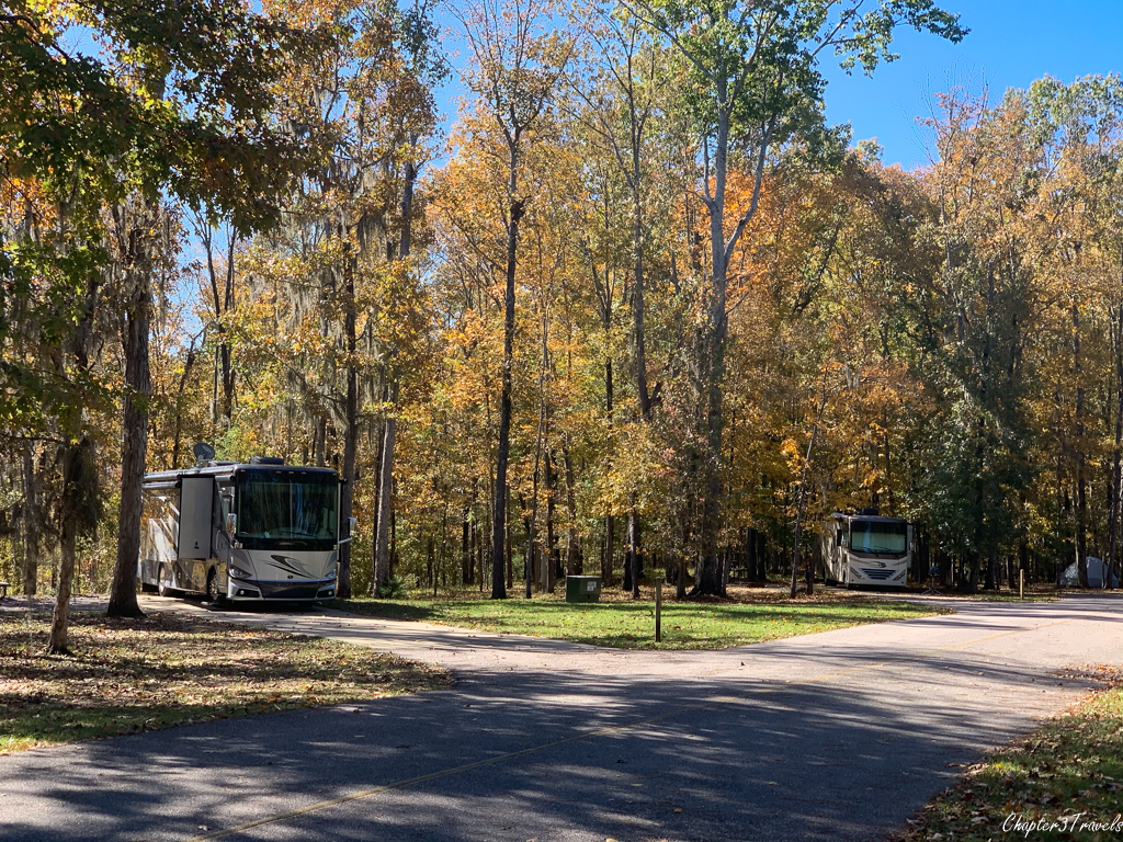 Campsites at Gunter Hill Campground