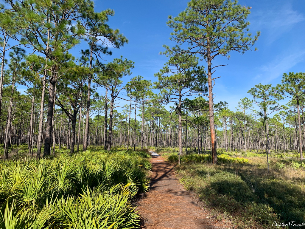 Hiking trails at Grayton Beach