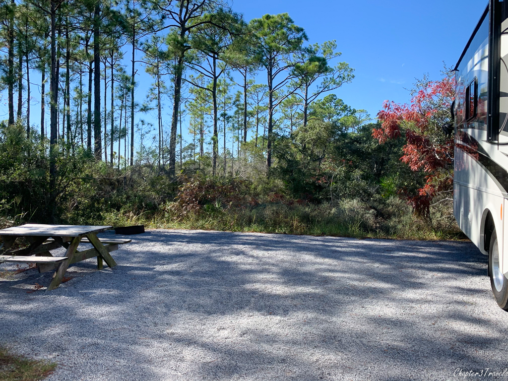 Campsite at Grayton Beach State Park