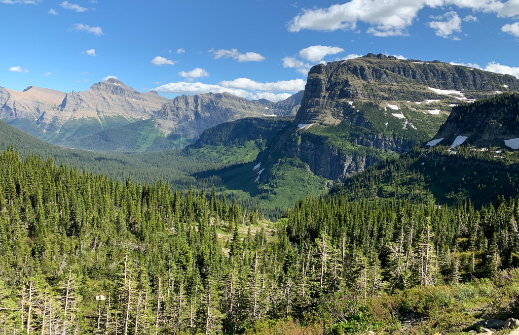 Late afternoon views of mountains along Going to the Sun Road