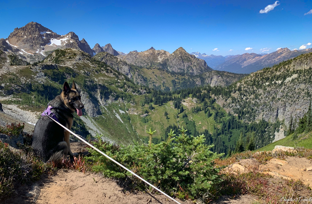 Thor looking at the mountain scenery in North Cascades National Park