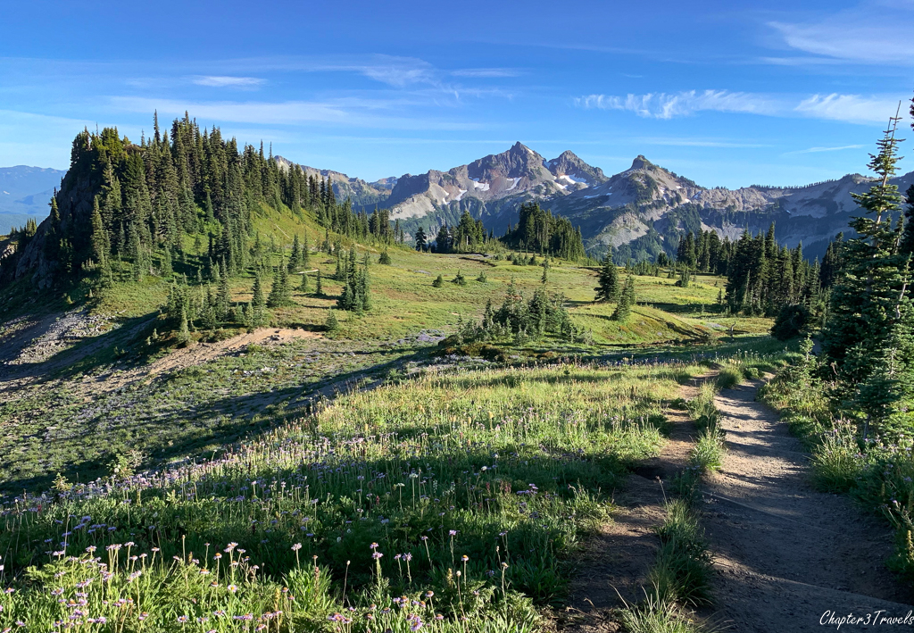 Late afternoon light at Mount Rainier