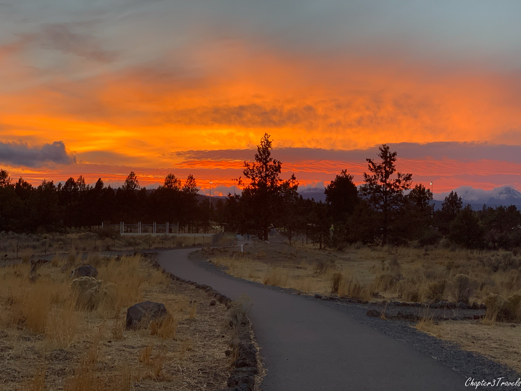 Pine Nursery park at sunset